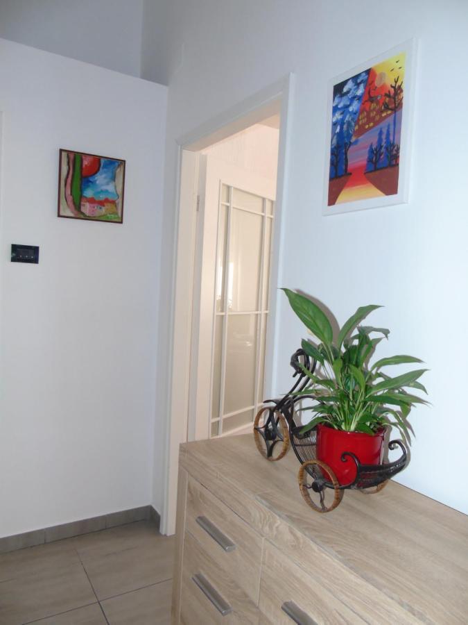 Appartement Apartman Vale à Rijeka Extérieur photo